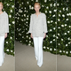 Illustration for article titled There Was a Shocking Dearth of Androgyny at Tilda Swintons MoMA Gala